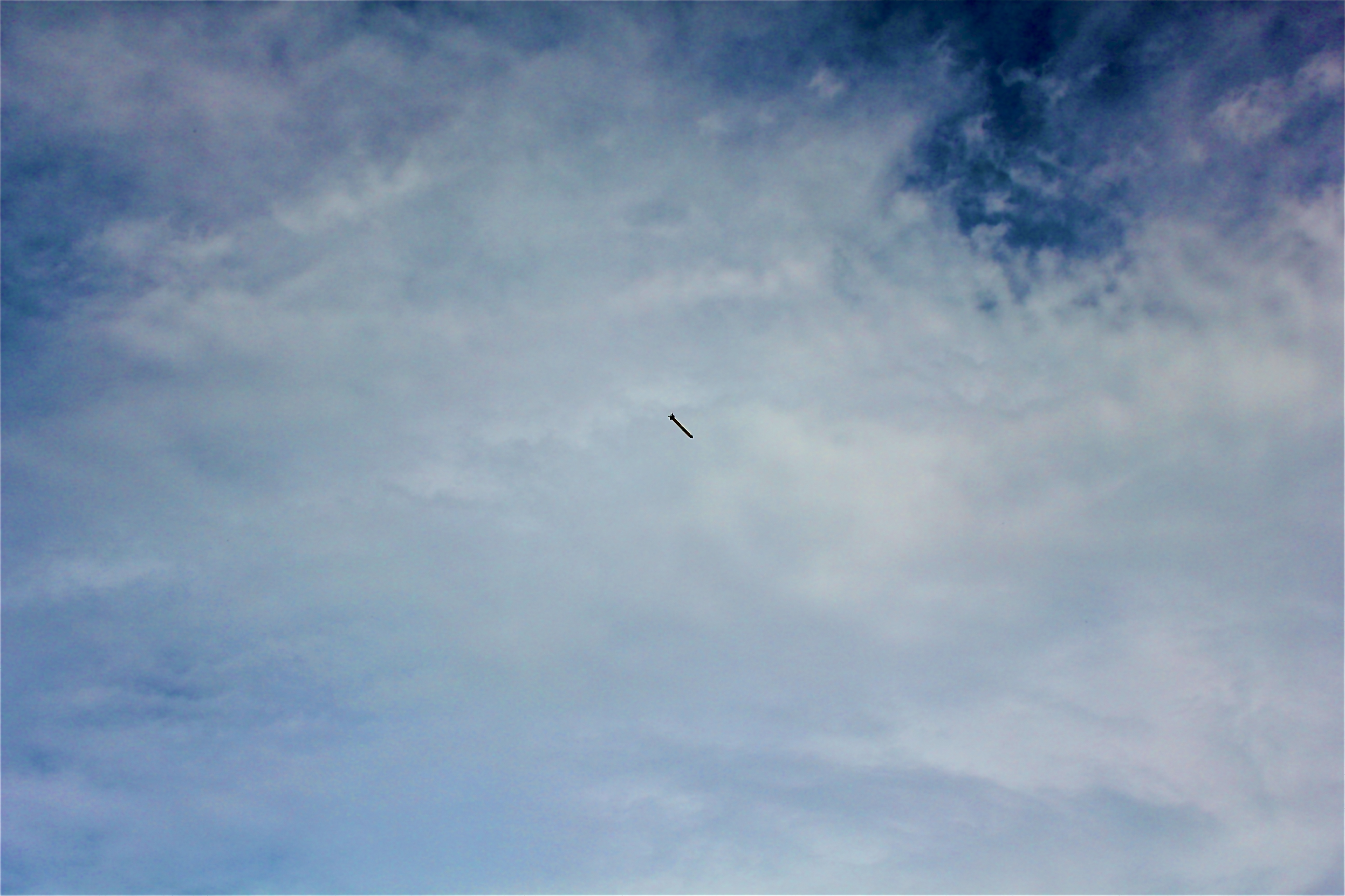 Water rocket in flight — ASRW 2025